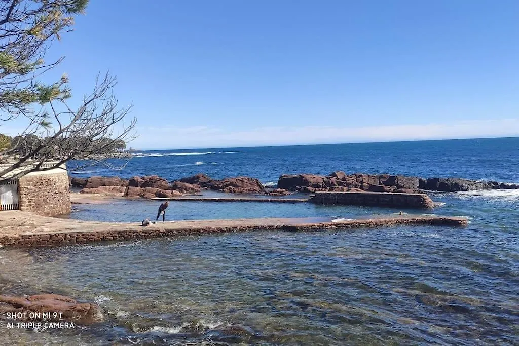 Appartement 4 Pers Au Calme A Boulouris Saint-Raphael